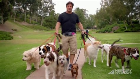 Mercury Insurance TV Commercial, 'Dog Walker' - iSpot.tv