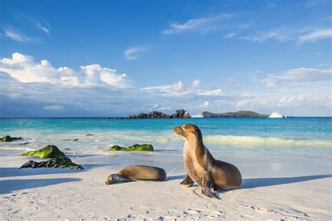 8 Must-Visit Islands in the Galapagos