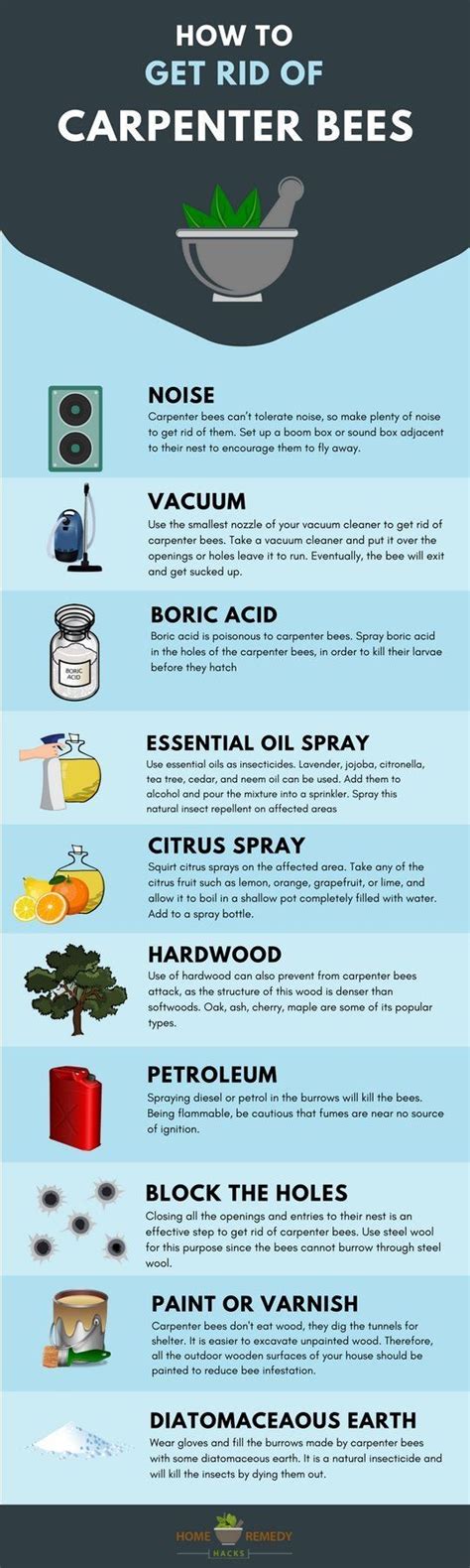 Spray the vinegar solution in and around the nest. 13 Home Remedies to Get Rid of Carpenter Bees | Carpenter ...