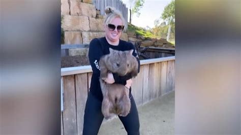 Rebel wilson has publicly slammed sydney's latest lockdown, saying you can't keep locking down as a strategy. Am Strand mit ihrem Hottie: Mit 20 Kilo weniger: Rebel ...