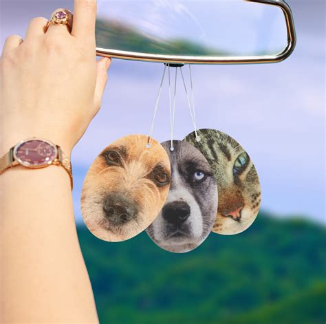 They are safe for kids, adults, and pets. Pet Fresh Face Personalised Pet Air Freshener | FIREBOX®