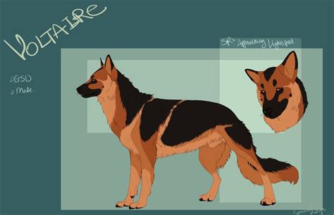 2 people named talitha tanner living in the us. Final foundation dog for now. For full size, download ...