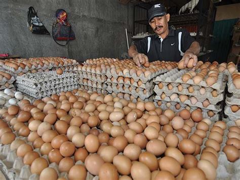 Telur di jatim dipastikan aman dikonsumsi. Harga Telur Ayam Capai Rp 53 Ribu per Piring ...