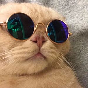 Search, discover and share your favorite 300x300 gifs. icons 300x300 | Tumblr