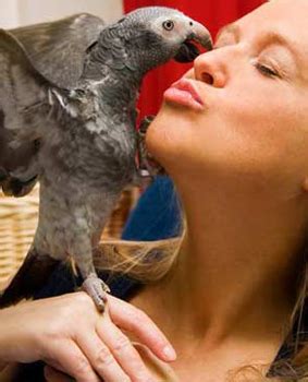 Animal care center of plainfield provides comprehensive animal care services to pets in plainfield, joliet, bolingbrook, naperville, romeoville and the surrounding communities. Avian Care NW San Antonio | Ten West Bird & Animal Hospital