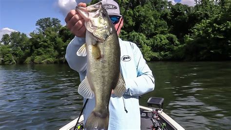 Now you can watch fox sports southeast without cable online. FOX Sports Outdoors SouthEAST #17 - 2019 Chickamauga, TN ...