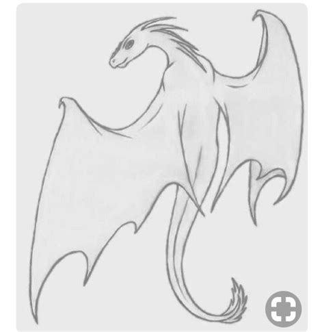 Enjoy them and leave your. Pin by UnableFlippernaut on Drawing (With images) | Dragon sketch, Creature drawings, Drawing poses