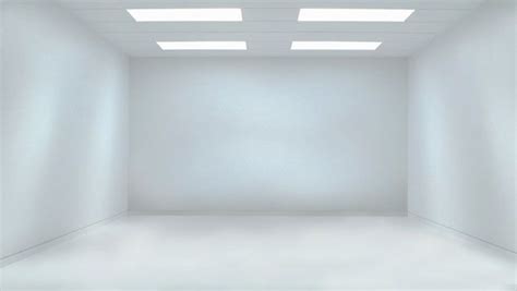 What kind of room has no windows and no doors? SPACE - the final frontier | All white room, White room ...