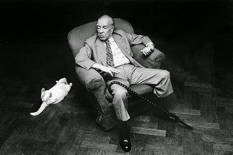 Browse 431 jorge luis borges stock photos and images available, or search for concert or cortazar to. Jorge Luis Borges e a homenagem ao gato Beppo - Vegazeta