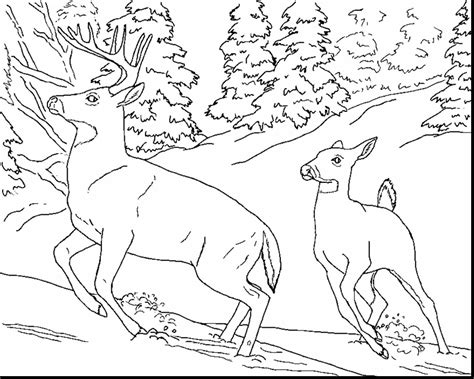 You will definitely find something here. Turkey Hunting Coloring Pages at GetColorings.com | Free ...