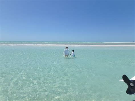 Are there sandbars in the gulf of mexico? Egmont Key Adventures (Anna Maria Island) - 2020 All You ...