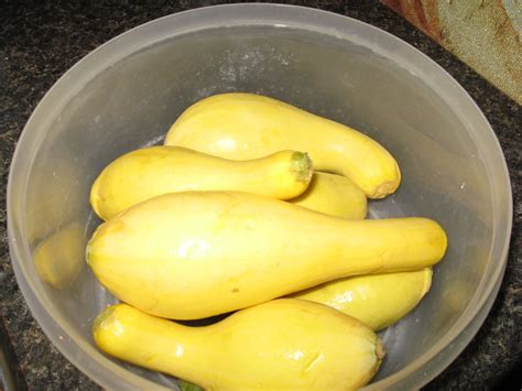 Do squash and zucchini have carbs. Yellow Squash Recipes for a Low Carb Diet | Delishably