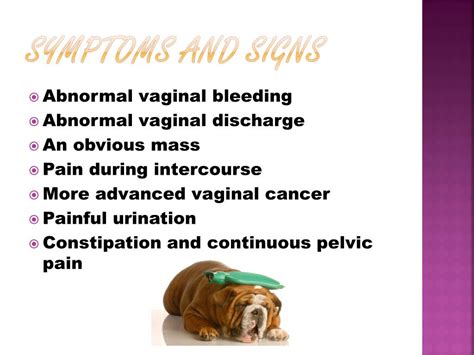You don't need to try and remember all the signs and symptoms of cancer, but we have listed some key ones to give you an idea of the kind of things to. PPT - VAGINAL CANCER PowerPoint Presentation, free ...