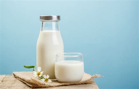 Pada susu beruang sendiri, ada kandungan vitamin b1, b2, b6, dan b12 yang dibutuhkan tubuh dalam proses pengolahan energi. Benarkah Susu Beruang Ampuh untuk Mengobati Tipes? - Uzone