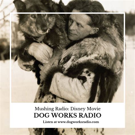 Togo is the story of a dog and his owner, leonhard seppala, who who traveled hundreds of miles through alaskan wilderness to help bring diphtheria medication to the town of nome, where an outbreak had occurred. Seppala and Togo Movie | Dog words, Dog books, New disney ...