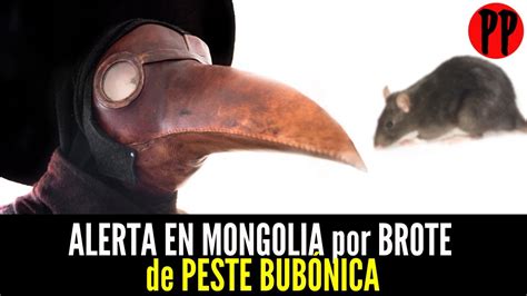 Ever since i became literate in english and could communicate with foreigners, i have absurdly encountered the above question or more like is inner mongolia different from mongolia? and has mongolia been part of china?. ALERTA EN MONGOLIA por BROTE de PESTE BUBÓNICA / Noticias ...