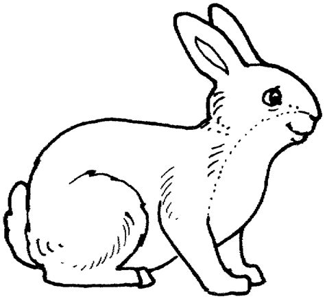 Top 10 rabbit coloring pages for preschoolers: Rabbit coloring page - Animals Town