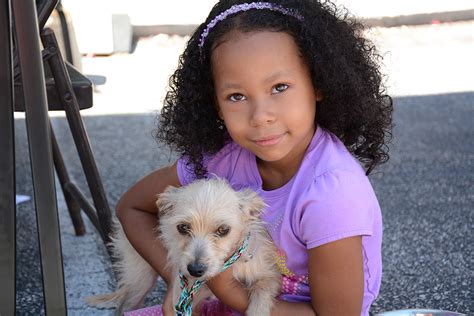 Every day, you can adopt a pet in a petco store. ASPCA and California Assemblyman Host Donation Drive and ...