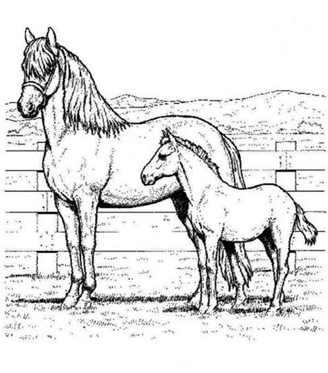 Picture of Horse and Baby Horse in Horses Coloring Page ... Share your coloring page with friends and family.