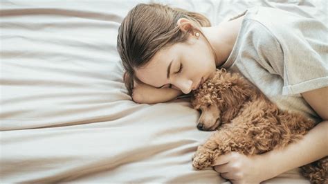 Its not just meaningless sex, it gets wholesome every now and then which makes you hella happy. Study: Women get better sleep with a dog on the bed | wkyc.com