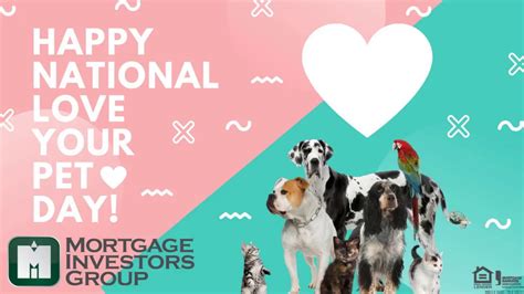 » cute kittens and lovely pups, chirpy birds and colorful fish. National Love Your Pet Day 2018 - YouTube