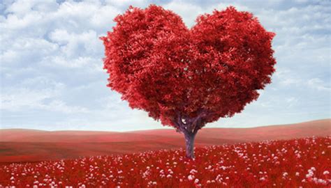 También es la fecha elegida por uruguay, chile y brasil. Feliz Día de San Valentín, de los Enamorados y de la ...