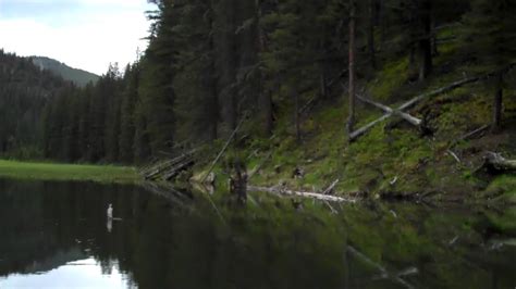 Most of the cabins were built in the 1920s and 1930s to provide field quarters for forest rangers and crews who worked trails, fire, range, and forestry projects. Fishing: Swan Creek - Gallatin National Forest - YouTube