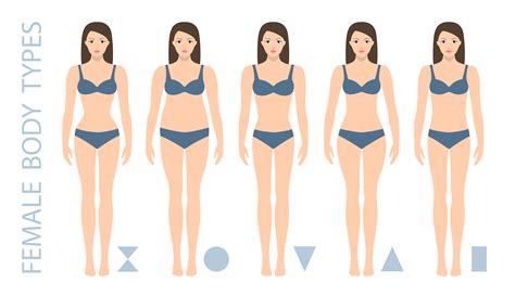 Waistline has the same width or is wider.? Set of female body shape types - triangle, pear, hourglass ...