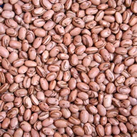 Entdecke rezepte, einrichtungsideen, stilinterpretationen und andere ideen zum ausprobieren. Produtos | Ecosagro | Loji