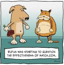 Not only will they freshen things up. Met your match? We can help you stay safe and healthy ...