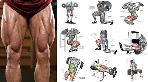 Almost every muscle constitutes one part of a pair of identical bilateral. Top 6 Exercises on How to Build Leg Muscle | Ejercicios ...