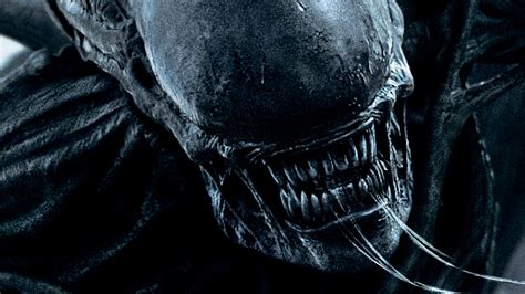 Ridley scott returns to the universe he created, with alien: 10 New Alien Covenant Hd Wallpaper FULL HD 1920×1080 For ...