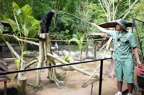 Check out their reviews and see what others say about lost world tambun. JE TunNel: Wildlife Adventures @ The LOST WORLD OF TAMBUN ...