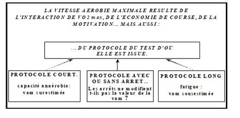 Déterminer la vitesse maximale aérobie (vma) en course à pied afin d'établir des séances d'entraînement adaptées au niveau du pratiquant ainsi que la consommation maximale d'oxygène. Déterminer le niveau de validité d'un test de terrain ...