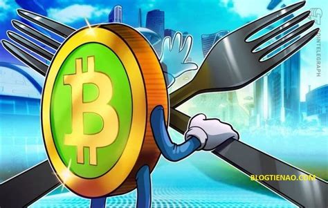 Connect to a server serving the longer chain. Cuộc chiến hard fork Bitcoin Cash: Bitcoin SV vs Bitcoin ...