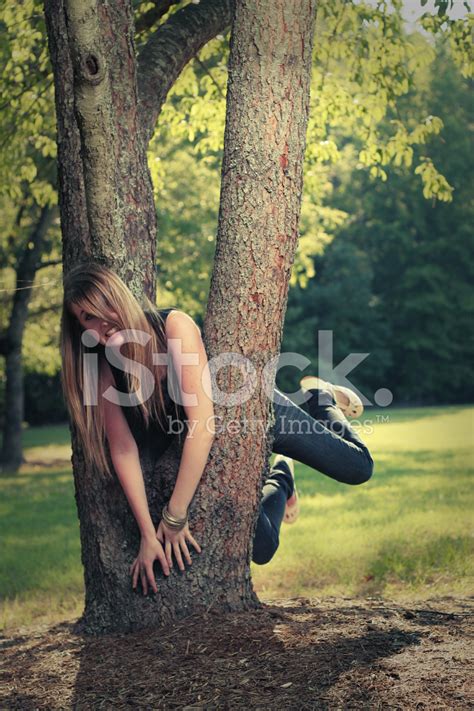 Temir darvoza narxlari 2021 namangan arzonlari bizda. Girl Stuck IN Tree Front Stock Photos - FreeImages.com