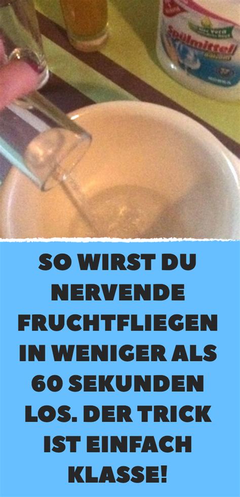 Krebs verändert sich also ständig, doch die mutationen sind innerhalb eines patienten ähnlich. So wirst du nervende Fruchtfliegen in weniger als 60 ...