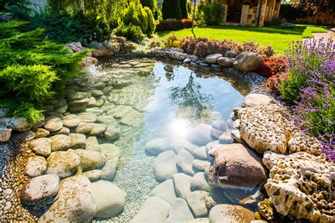 Konsep dari acara ini merupakan bentuk dari rasa kepedulian kita semua terhadap sesama, dan. Kolam Ikan Natural - Tentang Kolam Kandang Ternak