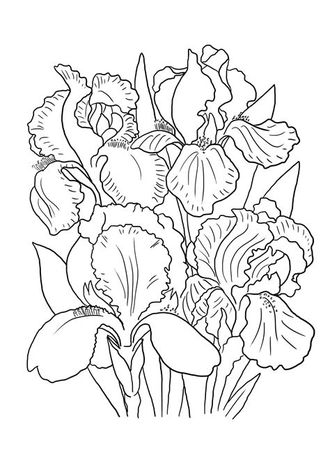 This set of printable flowers coloring pages is a place that can appeal to both boys and girls. Flower Coloring Pages