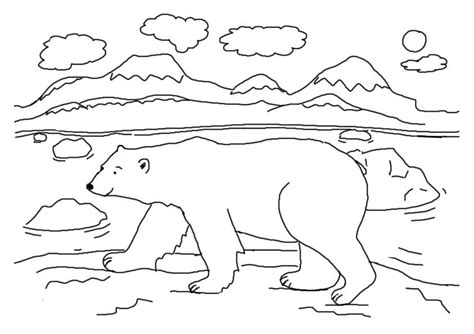 Some of the coloring page names are christmas coloring book pictures to color, weitere bilder rebecca picasa web albums coloring snow picasa and album, polar bear wearing santas hat on winter coloring online coloring, black and white cartoon of an outlined christmas polar bear holding a candy cane and wearing a. Pin on 1st year teacher- oh my!