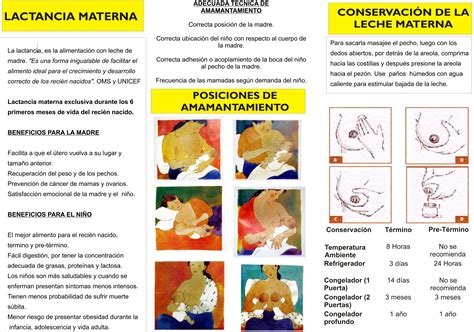 Los nutrientes aportados por la leche materna son mejor absorbidos por los niños, aportan mejor las. Lactancia materna | Municipio C