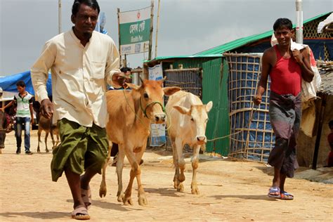 Taqabbalallâhu minnâ wa minkum (which means may god accept from us and you our fasts and deeds). Rohingya Refugees in Bangladesh Recall Violent Attacks ...