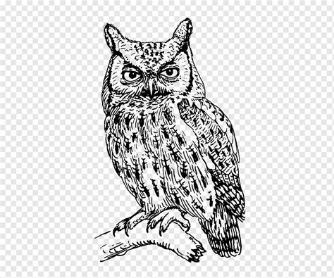 Anonim maret 30, 2021 elang brontok adalah elang tipe pemburu yang ganas terbagi menjadi 3 jenis yaitu elang brontok hitam (che dm), elang brontok. Lukisan Hitam Putih Kepala Burung : 770 Gambar Kepala ...