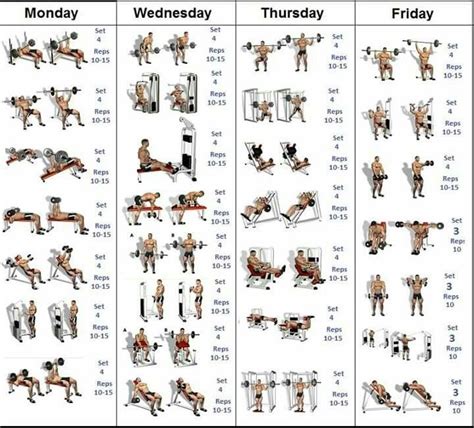 Are you looking for a workout schedule that will allow you to hit the gym 6 days a week? 4 day weights plan | Bodybuilding program, Bodybuilding ...