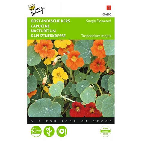 Keeping the soil temperature near 70 degrees fahrenheit and maintaining even moisture. Climbing - Nasturtium Tropaeolum Flower seeds • Tuinzaden.eu