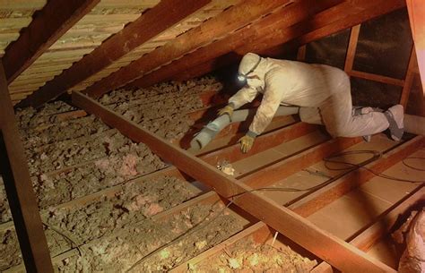 If you're hearing scratching sounds or other suspicious attic noises, you could have some as we approach winter, it becomes more and more common to hear pesky critters making noises in as the temperature continues to drop, these animals tend to make their way into our homes or businesses. Guardian Wildlife Services Wildlife Removal - Animal ...