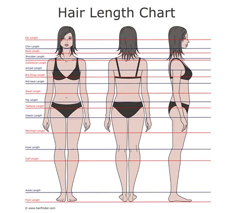 Check spelling or type a new query. Sdestra: Determining Hair Length And Landmarks On Your Body