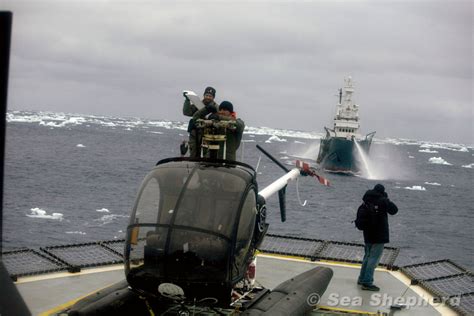 Op 6 februari 2010 werd de bob barker geramd door de yushin maru 3. Shonan Maru No 2 approaches… : Ecorazzi