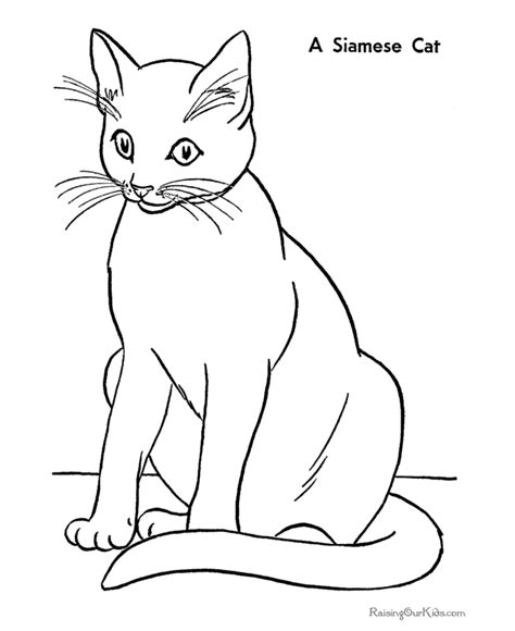 Free download 39 best quality 2nd grade coloring pages at getdrawings. Free printable Siamese Cat coloring page | 2nd Grade ...