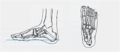 Fachärzte für orthopädie und urologie.> zu den ärzten unser therapeutenteam bietet ein weitgefächertes leistungsspektrum, u. Praxis Leonardo - Ärzte für Orthopädie und Traumatologie